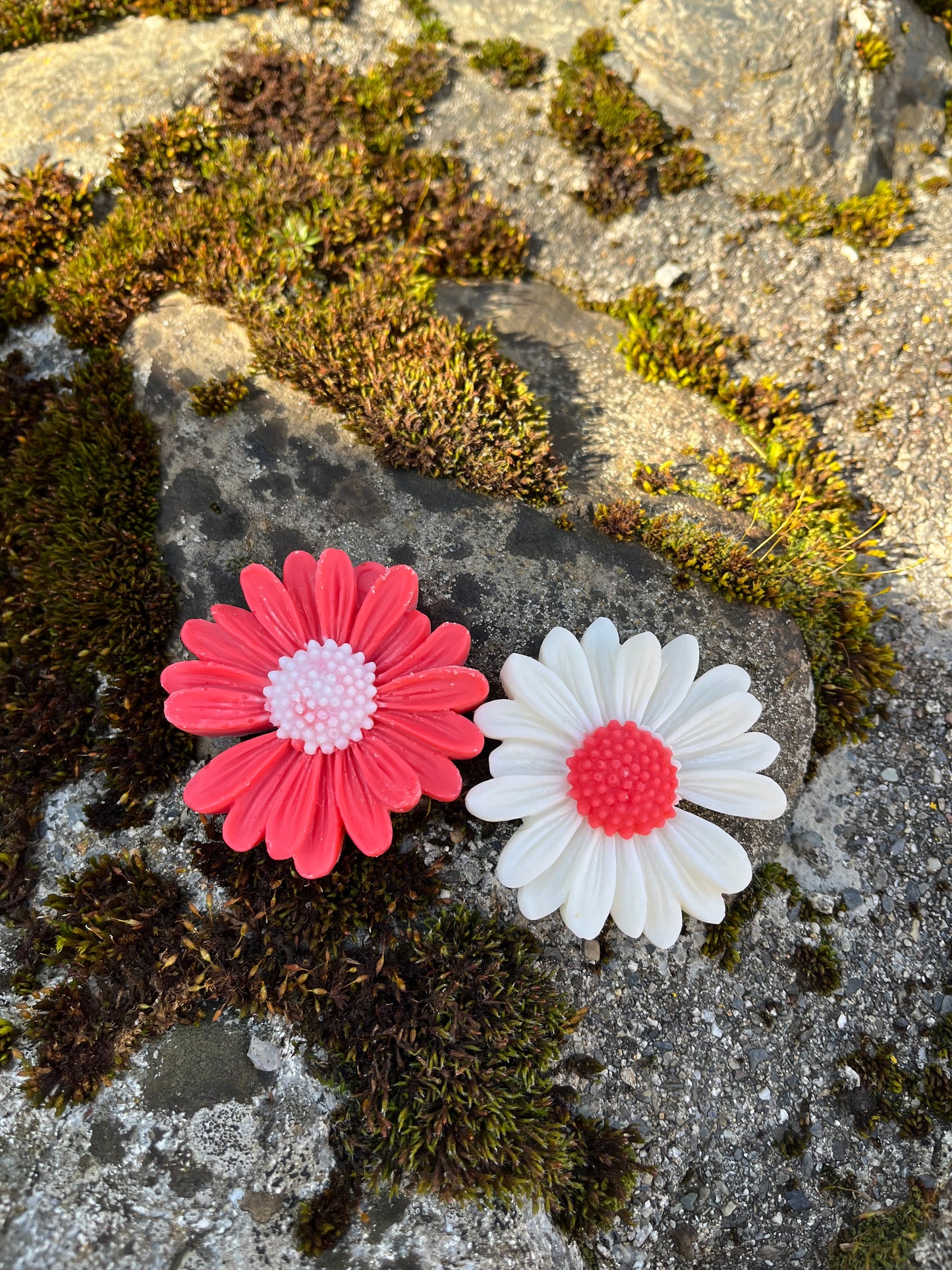 Fondants Marguerite (lot de 2)